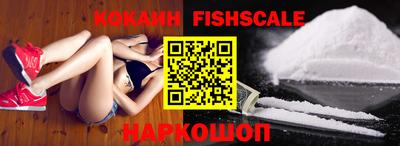 молекула духа Кингисепп