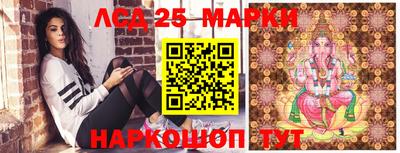 молекула духа Кингисепп