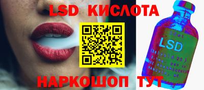 молекула духа Кингисепп