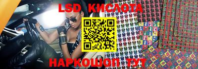 молекула духа Кингисепп