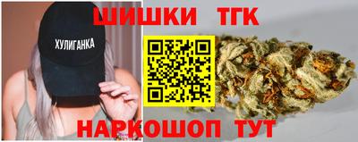 молекула духа Кингисепп