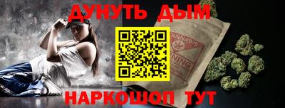 молекула духа Кингисепп
