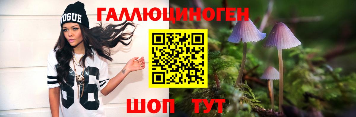Псилоцибиновые грибы мицелий  Вход с VPN  Котельники 